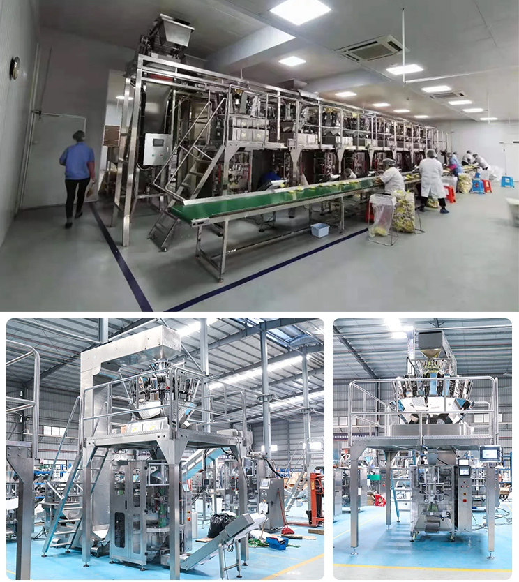 Packaging machine manufacturers