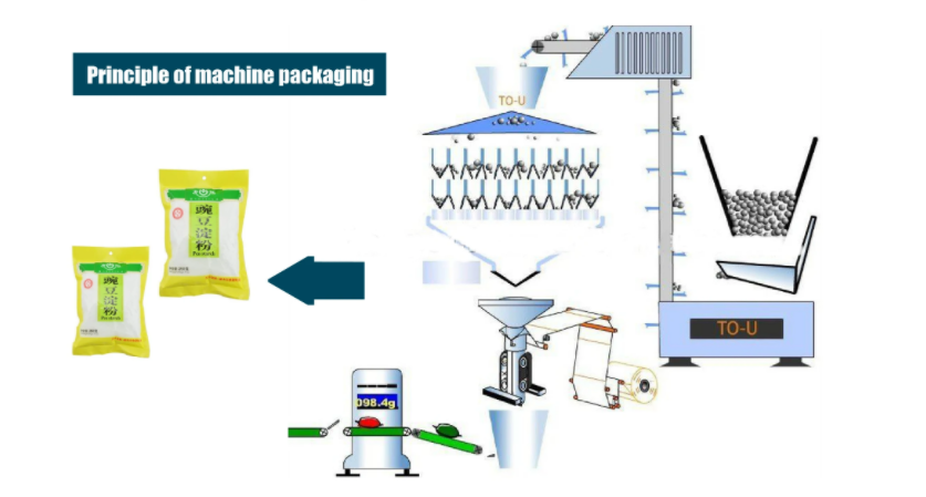 Workflow Diagram